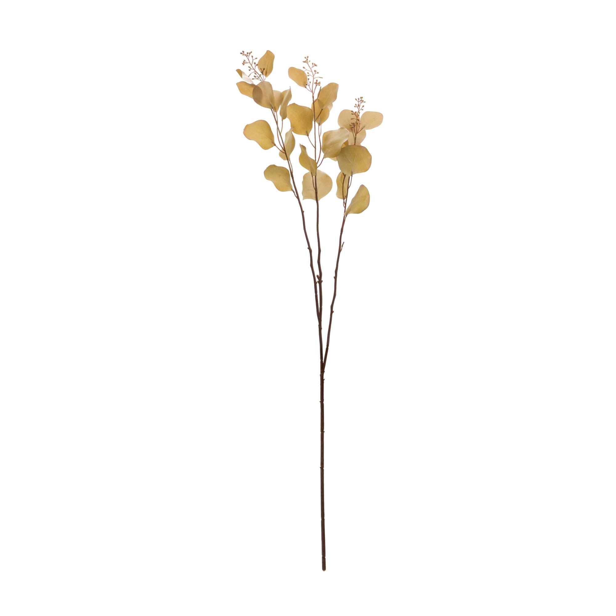 38" Seeded Eucalyptus Stems, 6ct.